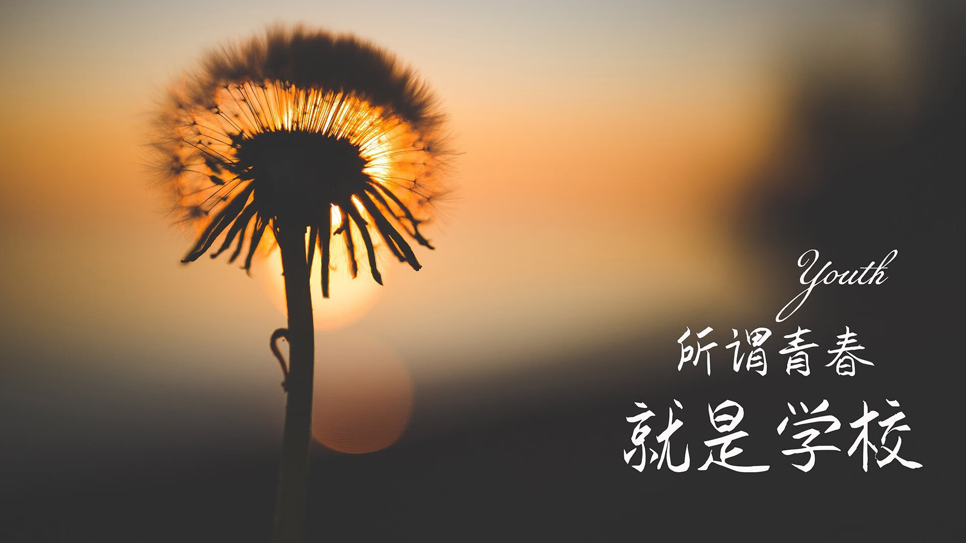 “足球+文化+旅游”产业融合创新成果在行业内不断深化，行业活力持续释放