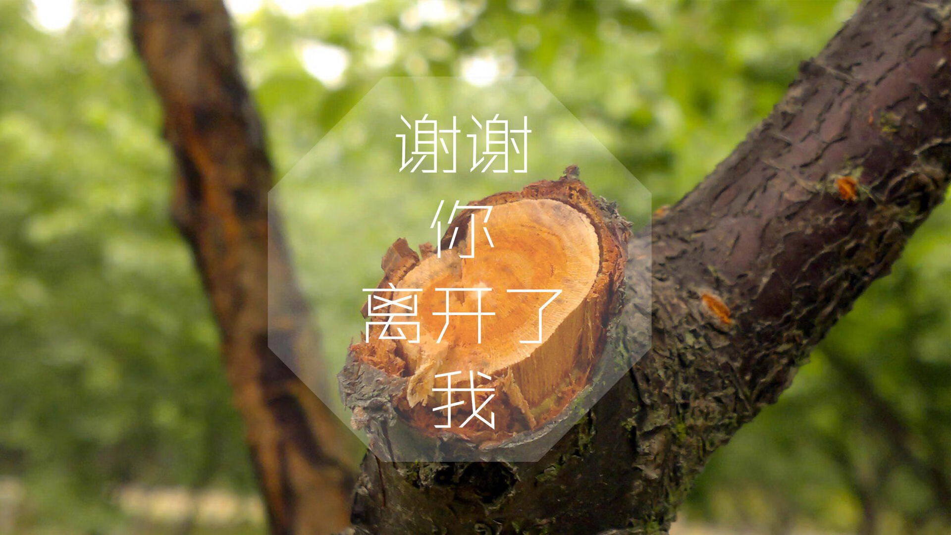 【职业生涯】丁俊晖的训练技巧：从青训到世界一流，丁俊晖教程