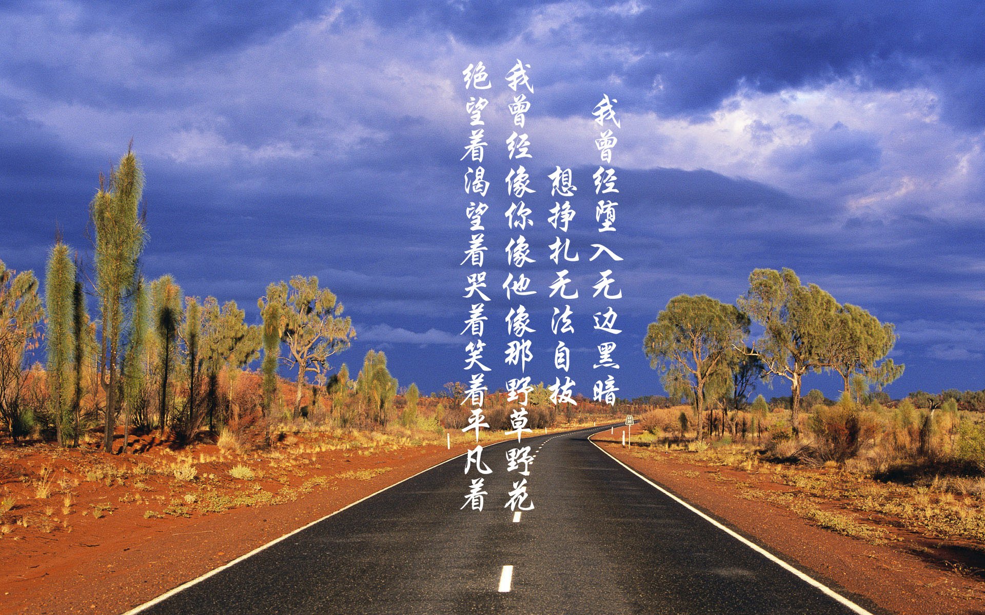 上海海港防守端失球减少，上海海港队