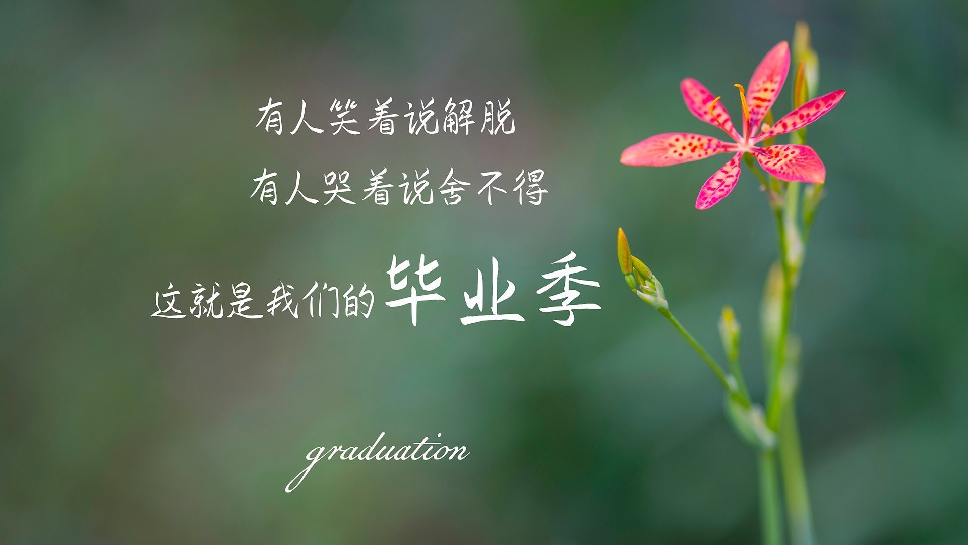 中超联赛媒体传播是否影响观众兴趣，中超合作媒体
