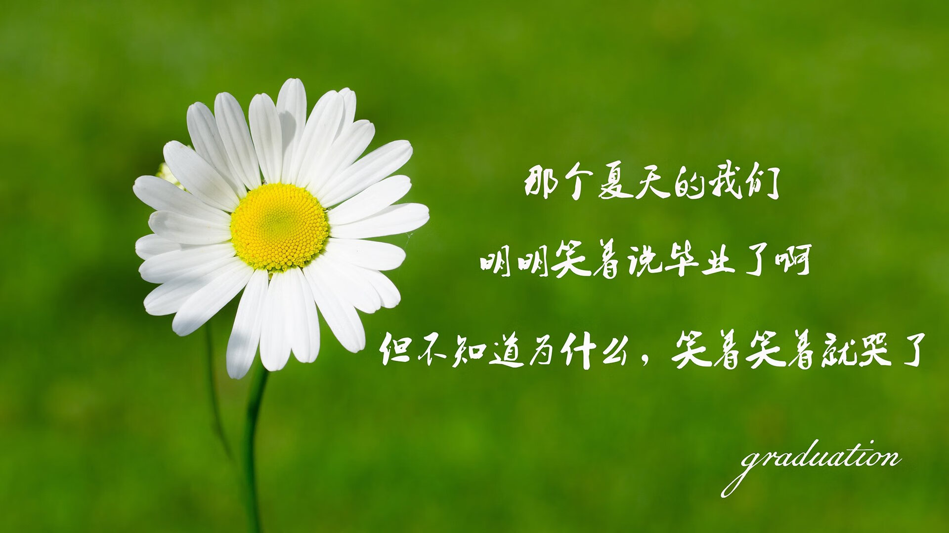 刚果国脚归队备战瑞士队，备受期待，刚果共和国足球