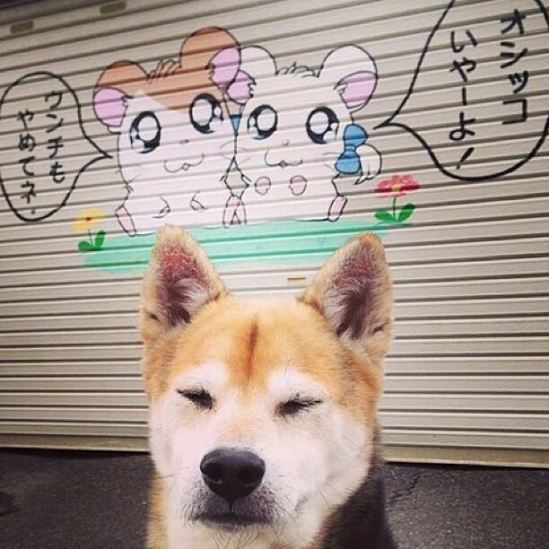 昂热队主场作战，期待球迷的支持，昂热对马赛比分预测