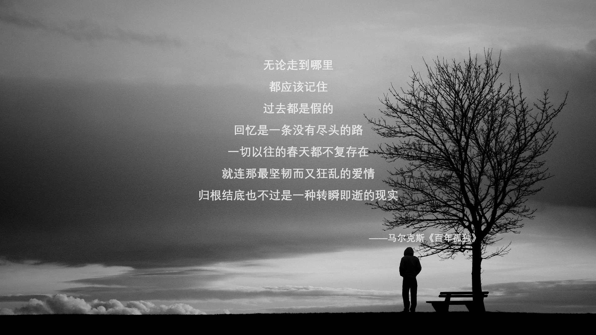 体育项目职业化路径与行业壁垒分析，体育产业化项目选择应遵循什么样的原则