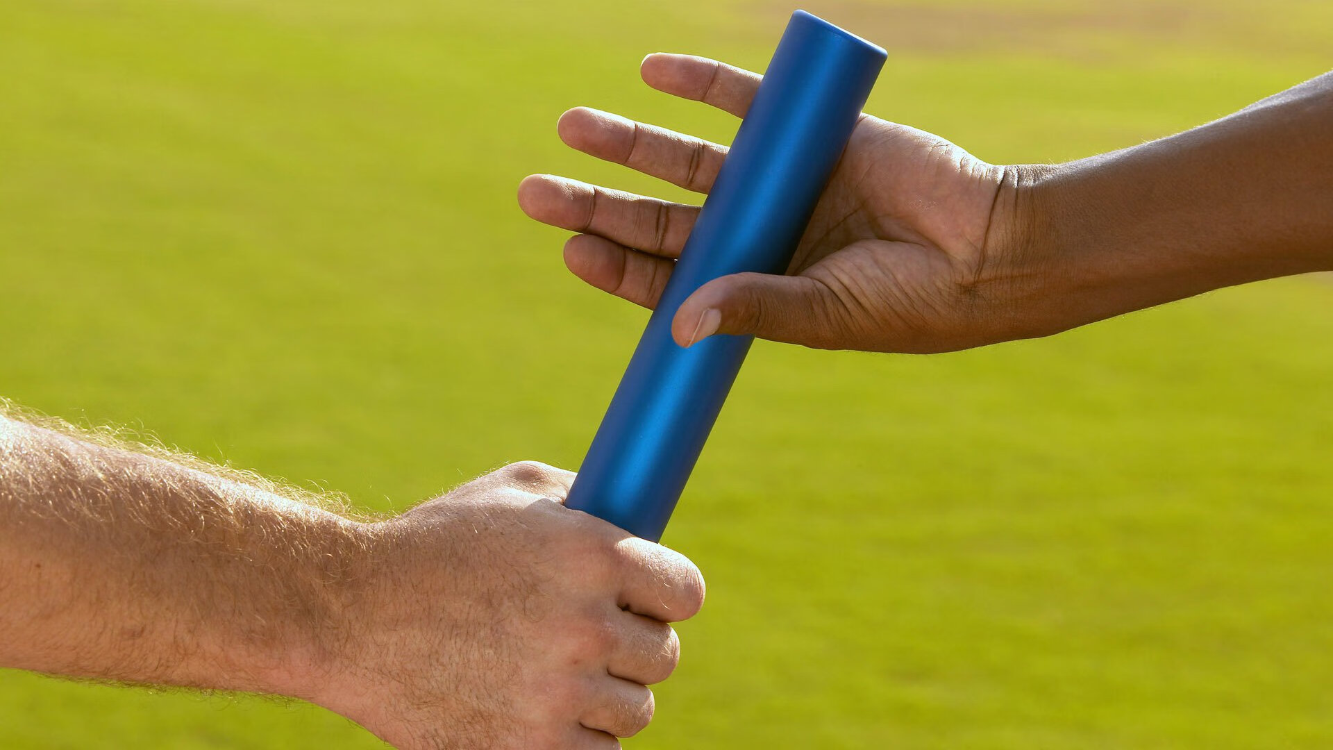 加拿大游泳技术优化助力成绩提升，加拿大国家游泳队