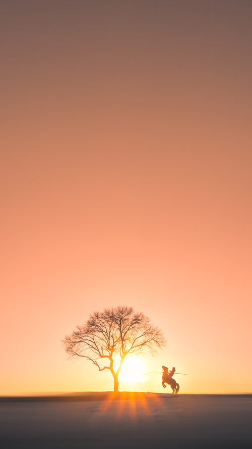 博卡青年需提升战术多样性以应对强敌，博卡青年什么水平