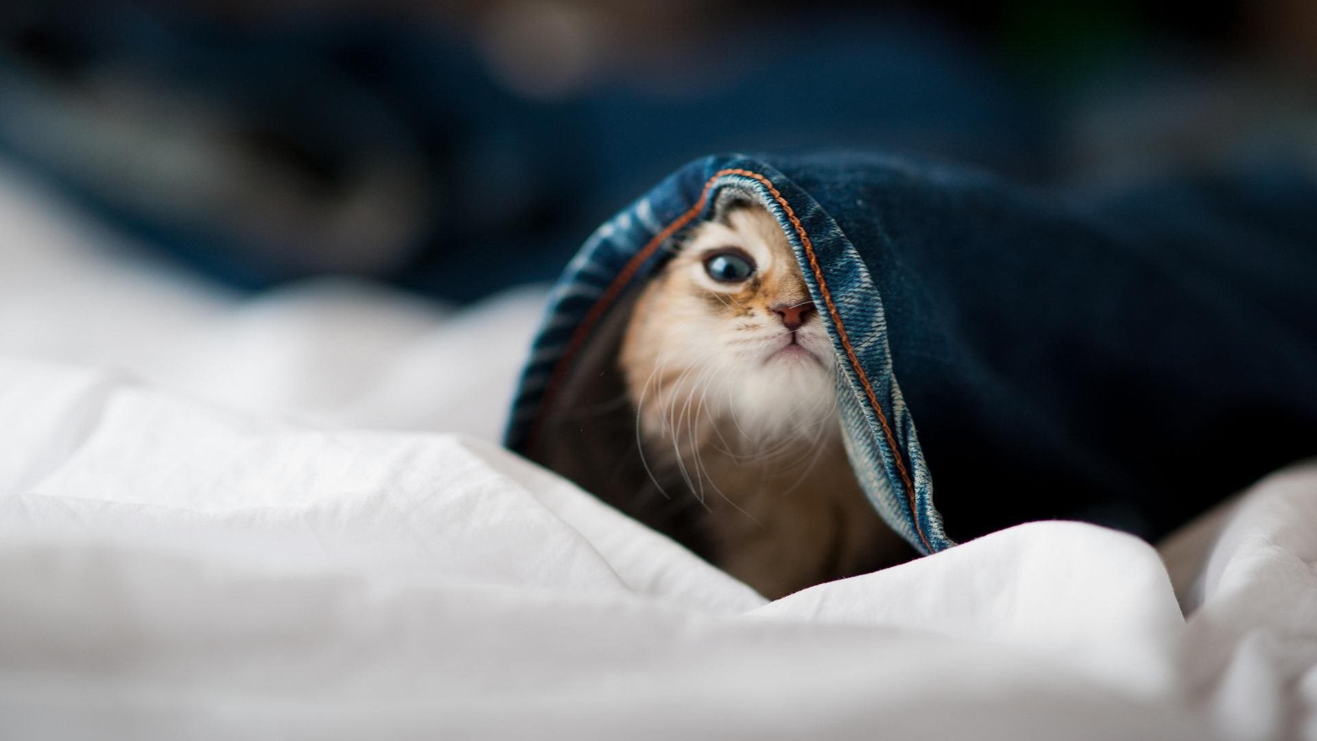 马拉松赛道数据采集系统用于科研分析，马拉松赛道测量