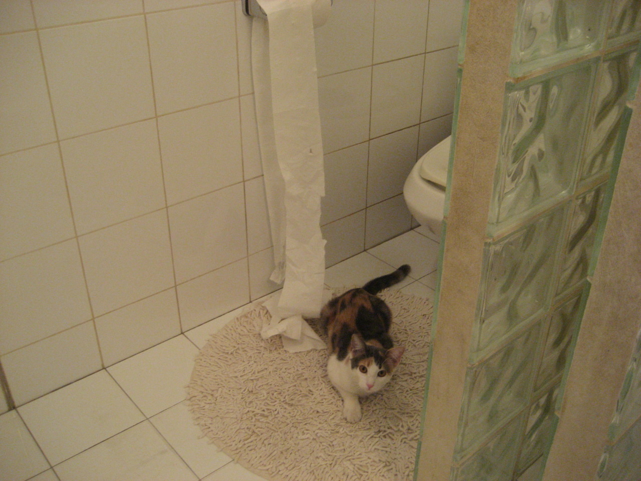 乔治·巴尔：全黑队中场的“调度员”，精准传球总能撕开对方防线