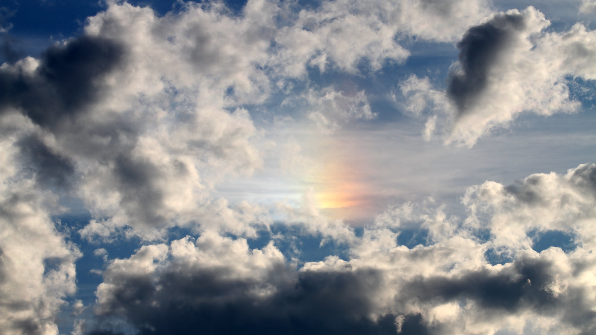 仰泳选手滑行延长，动作连贯，仰泳划水路线