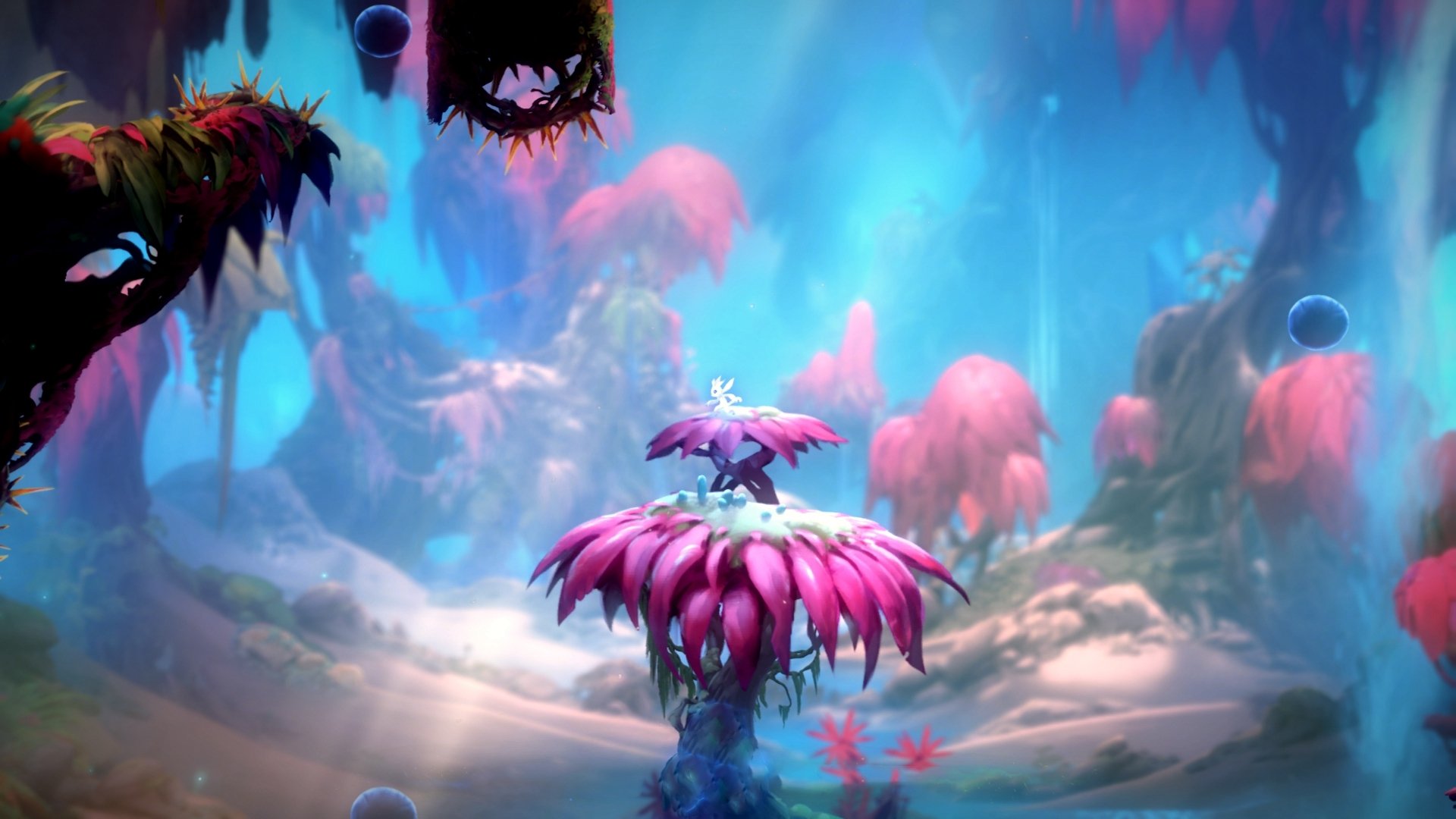 科斯稳扎稳打掌控比赛节奏，科斯稳扎稳打掌控比赛节奏