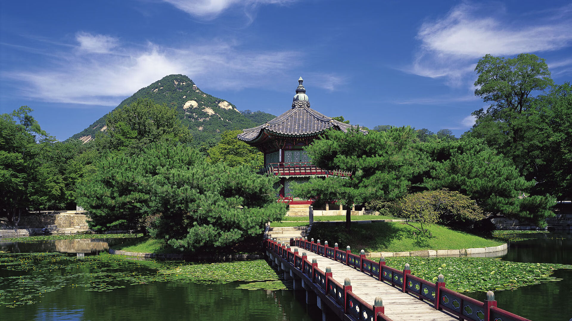 美洲篮球锦标赛中，巴西队连续取胜，争夺奥运名额进入倒计时，美洲篮球冠军赛