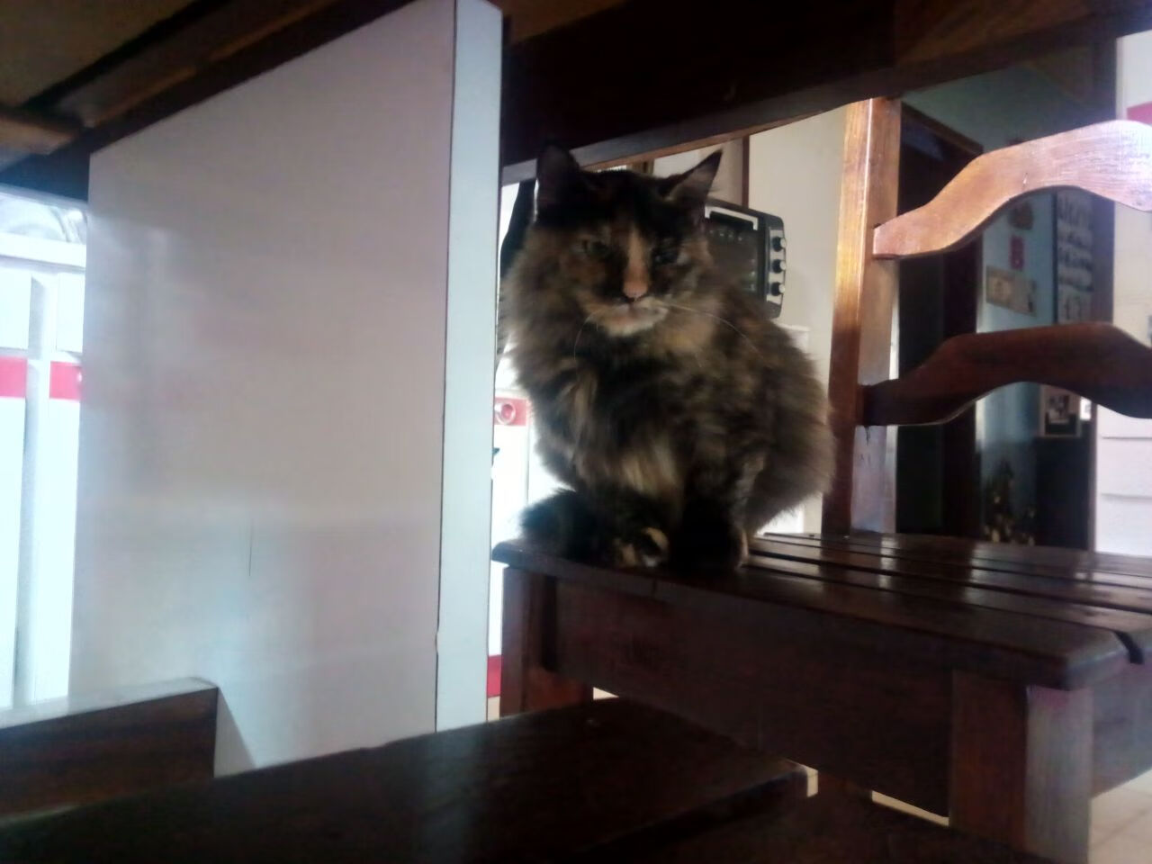 青少年篮球联赛推广策略提升赛事专业化和品牌影响力，青少年篮球活动策划方案